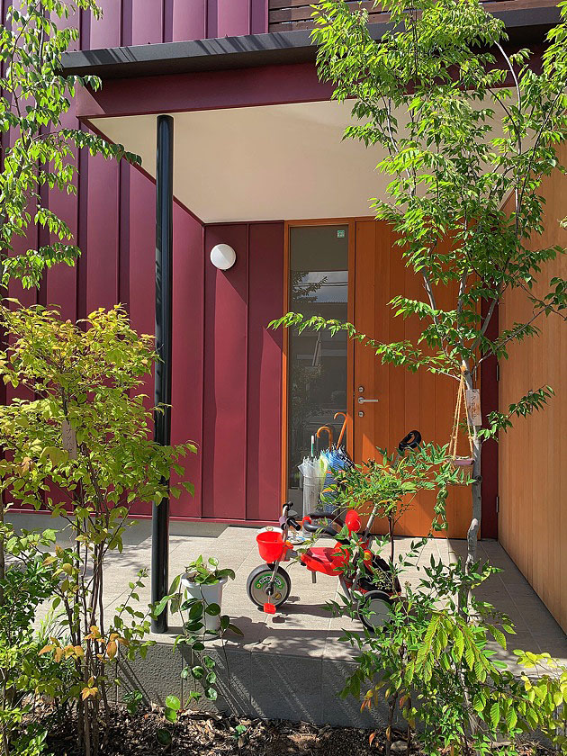 ガルバリウムと木板張りの外壁のナチュラルモダンな住宅外観,玄関ポーチの緑